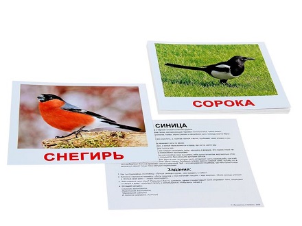 Обучающие карточки "Космос", "Птицы" Обучающие карточки "Космос", "Птицы"